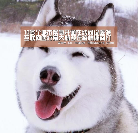 华体会体育
