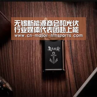 无锡新能源商会和光伏行业媒体代表团赴上能电气考察|华体会体育(图1) 华体会体育