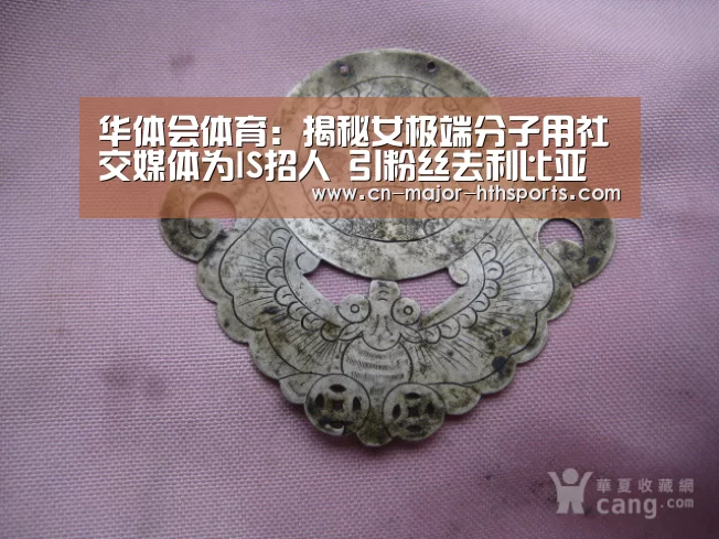 华体会体育:揭秘女极端分子用社交媒体为IS招人 引粉丝去利比亚(图4) 华体会体育