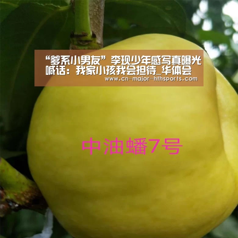 华体会体育