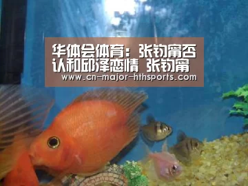 华体会体育:张钧甯否认和邱泽恋情 张钧甯邱泽恋情事件始末过程(图2) 华体会体育