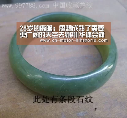 28岁的鹿晗:思想成熟了需要更广阔的天空去翱翔|华体会体育(图3) 华体会体育